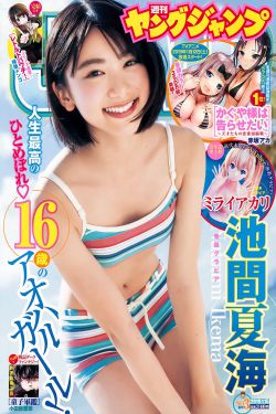电视剧平凡之路